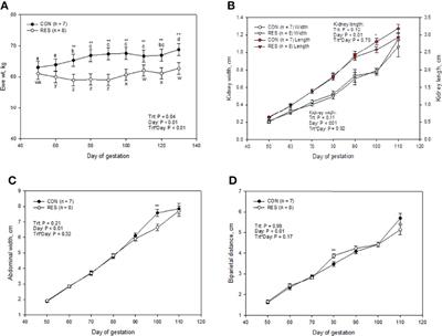 Effects of Mid-Gestation Nutrient Restriction, Realimentation, and Parity on the Umbilical Hemodynamics of the Pregnant Ewe